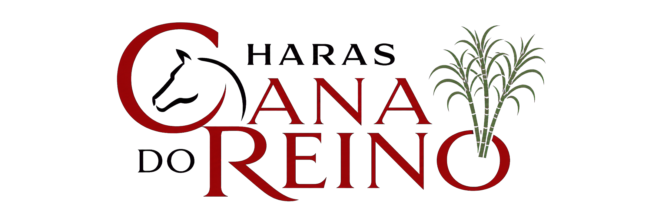 Haras Cana do Reino